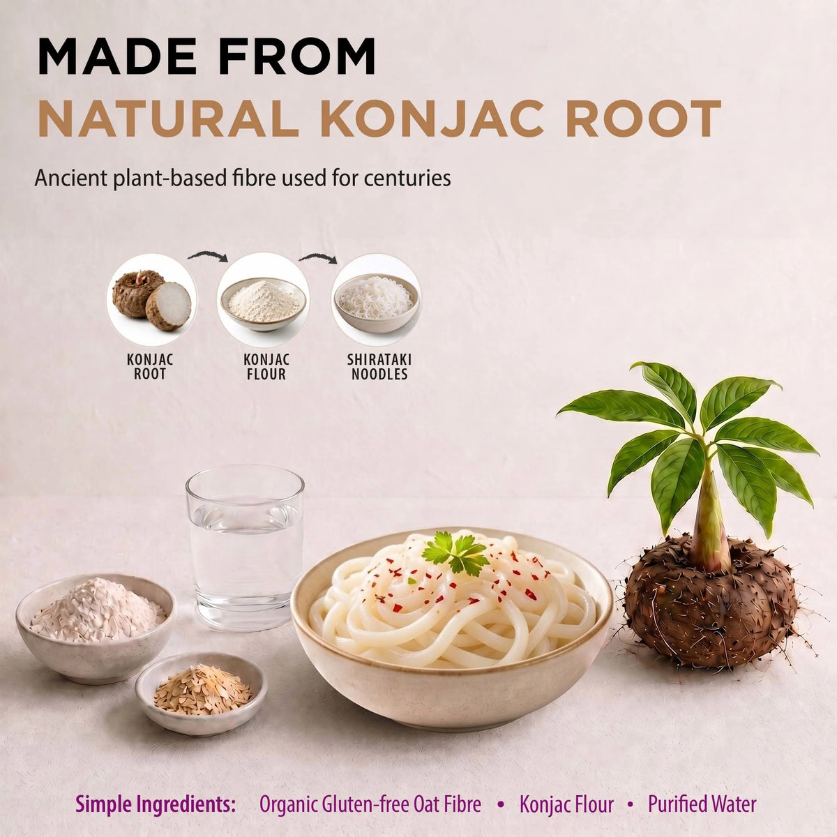 Keto Chef Udon Noodles