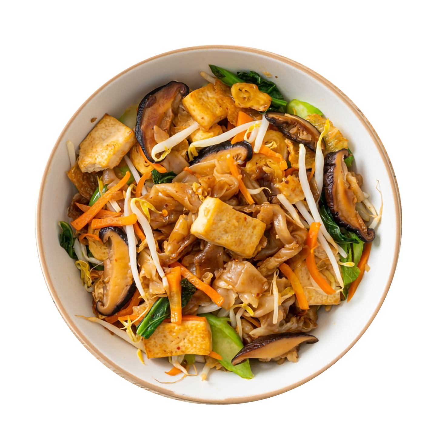 iTz noT Konjac Chick'n Teriyaki