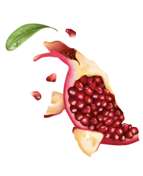 fruit-img