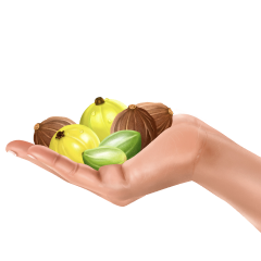 fruit-img
